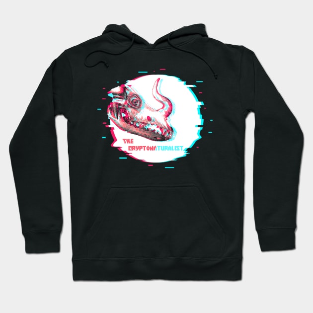 Glitch Hoodie by Cryptonaturalist